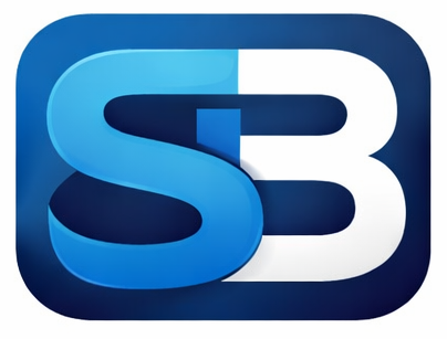 Skillbridg